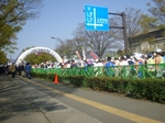 DSC01061.jpg