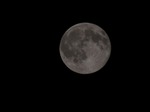 DSC01793.jpg