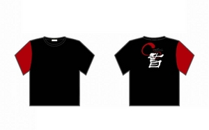 TshirtD.jpg
